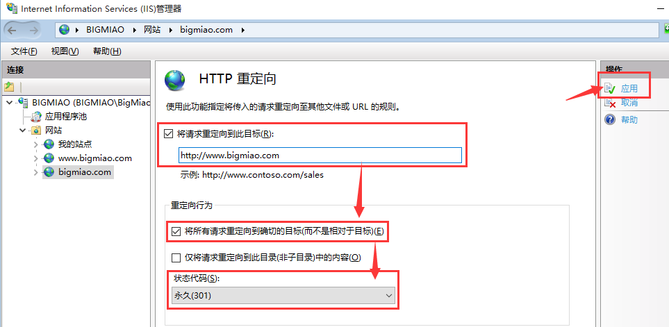 设置301重定向的地址，点击应用.png