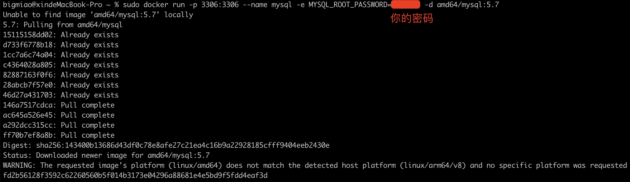 sudo-docker-run-mysql.png